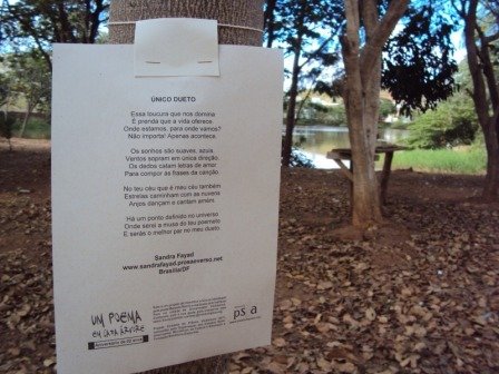 Concurso "Um poema em cada árvore", de Governador Valadares, pelo Instituto PSIA: